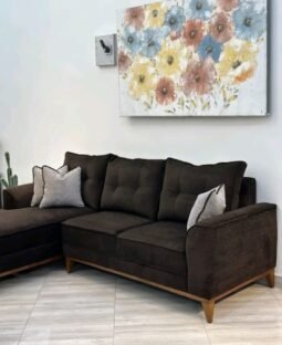 L – shaped sofa set