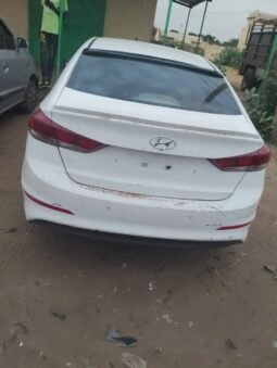 
Hyundai Elantra Wau full									